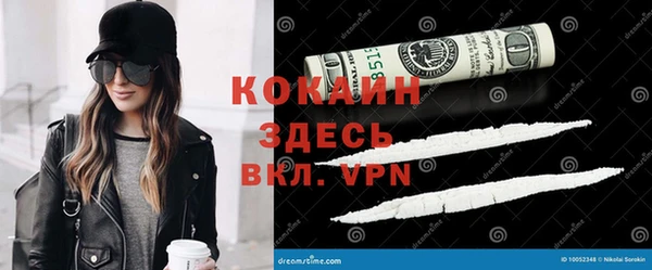хмурый Алексин