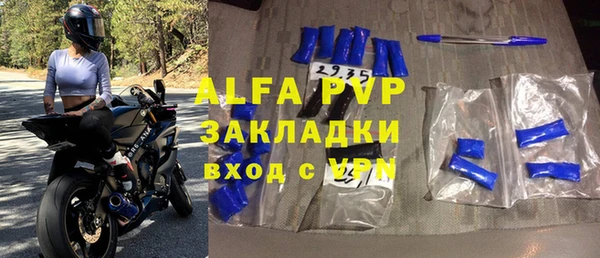 хмурый Алексин