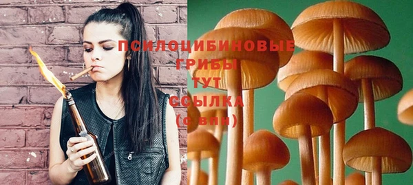 хмурый Алексин