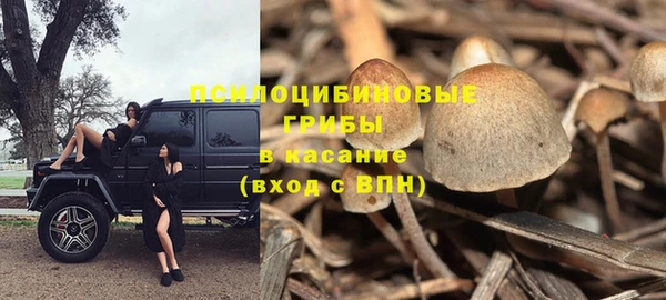 хмурый Алексин