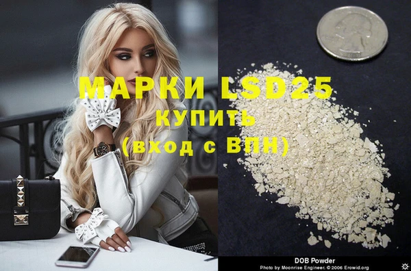 хмурый Алексин