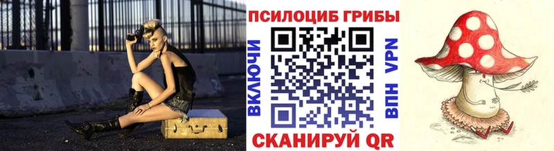 магазин продажи Липки Псилоцибиновые грибы Magic Shrooms